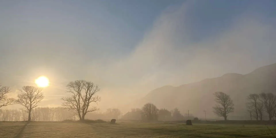 Low sun through morning mist over the fields at Murrisk, bare trees in silhouette and the hills behind.